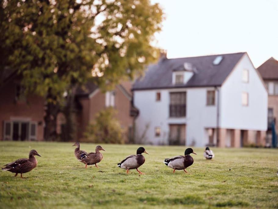Castleford Cottage , Lowermill Estate Somerford Keynes 외부 사진
